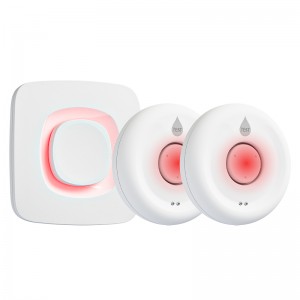 AF-9900 – Smart Wi-Fi Water Leak Detector Kit with Gateway