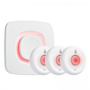 AF-9900 – Smart Wi-Fi Water Leak Detector Kit with Gateway