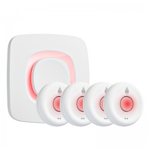 AF-9900 – Smart Wi-Fi Water Leak Detector Kit with Gateway
