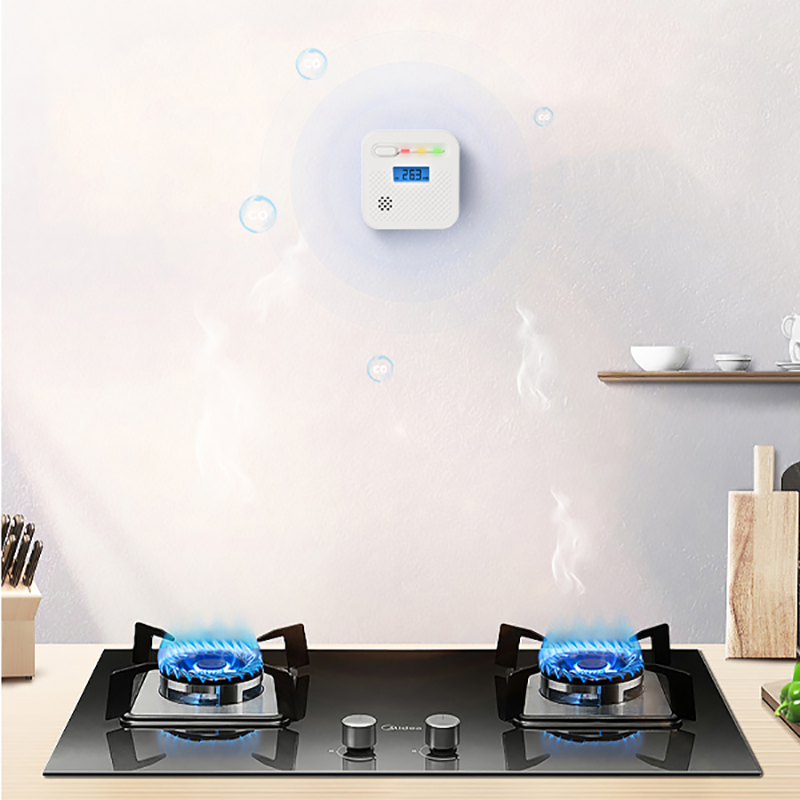 Topic1 - - Top 10 Brands of Carbon Monoxide Alarm in China ARIZA Showcases at Intersec Dubai 2026 (3)