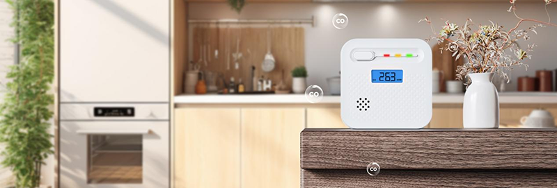 Topic5 - - High Quality CO Alarm Solutions Provider ARIZA Advancing Residential Saf (1)