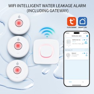 AF-9900 – Smart Wi-Fi Water Leak Detector Kit with Gateway