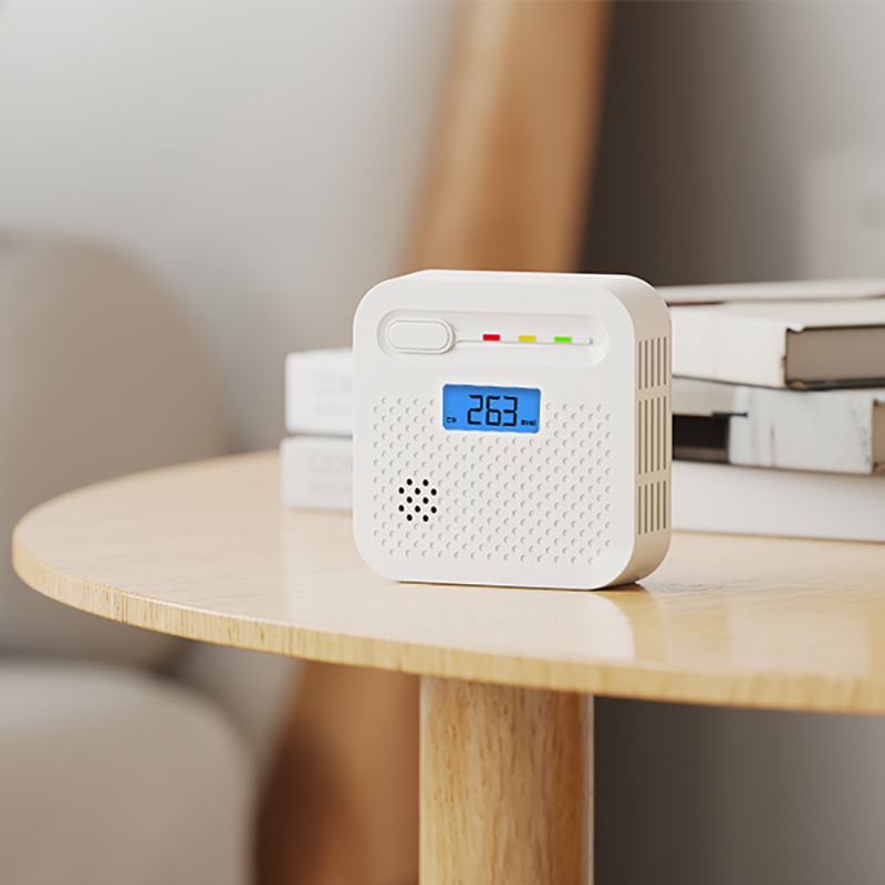 Top 10 Brands of Carbon Monoxide Alarm in China: ARIZA Showcases at Intersec Dubai 2026